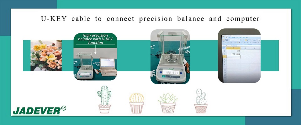 Electronic Precision Balance