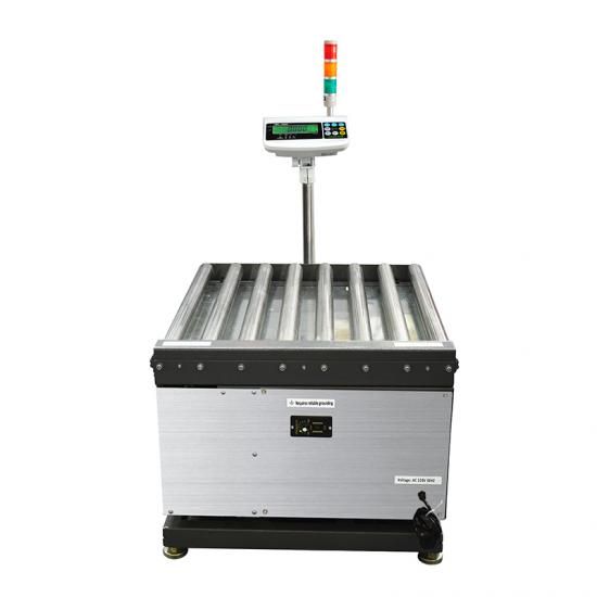 checkweighing Roller Conveyor for weight scale