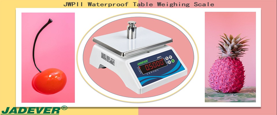 Waterproof weighing Scale Panel Symbol Description
