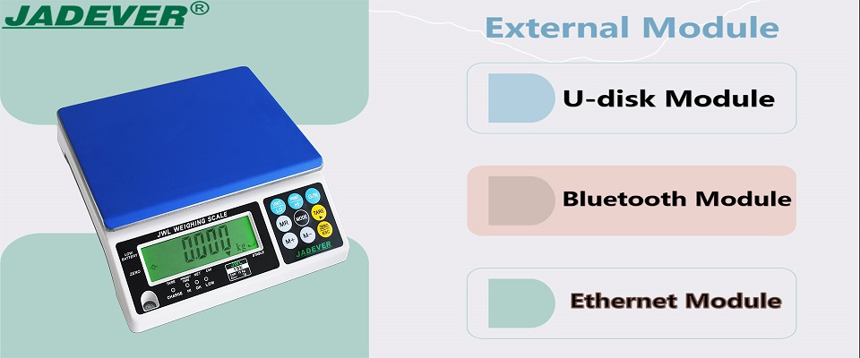 Electronic Weighing Counting Scale External Modules