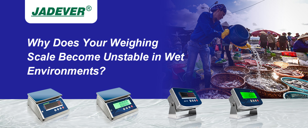 Why Does Your Weighing Scale Become Unstable in Wet Environments?