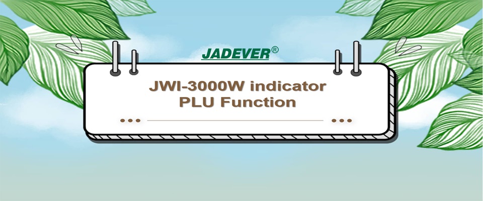 Exploring the PLU Function of Electronic Scales