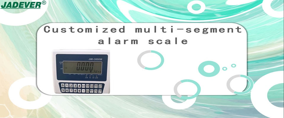 Customized multi-segment alarm scale