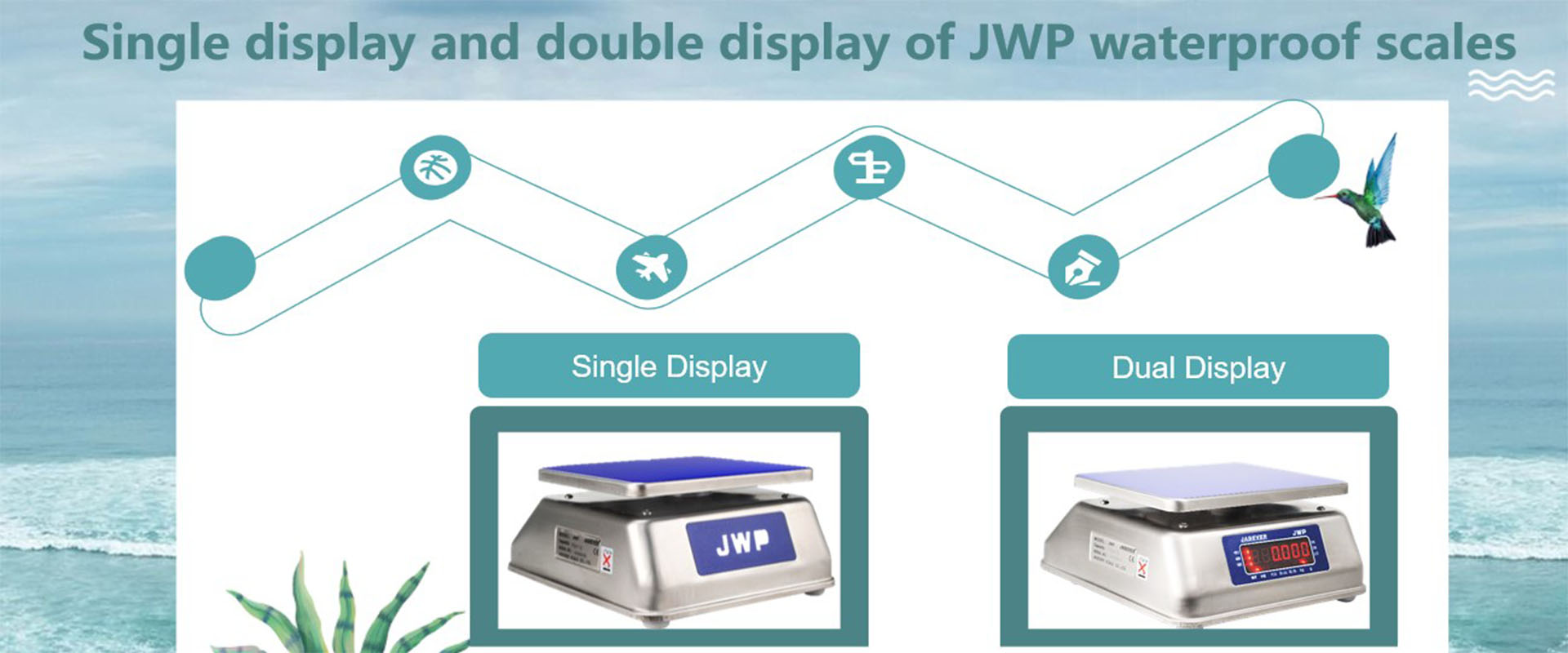 Single display and double display of JWP waterproof scales