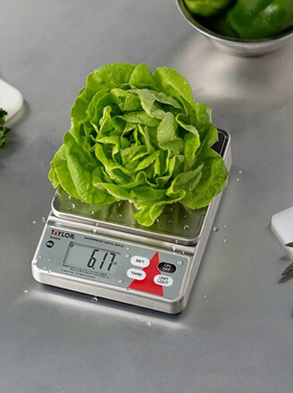 Waterproof Scale & Indicator