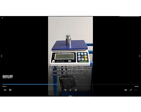 JWL Hook Scale