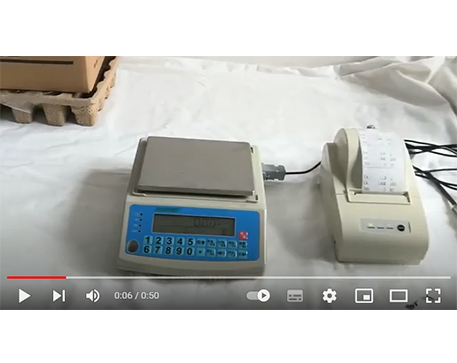 Jadever SKY-C Counting Balance print label with NLP printer