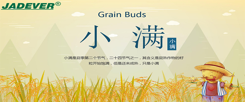 Grain Buds