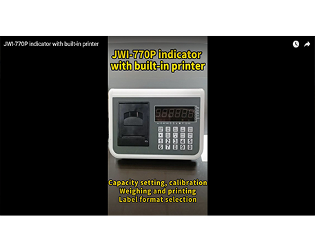 JWI-770P indicator with built-in printer